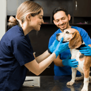 Care Plan