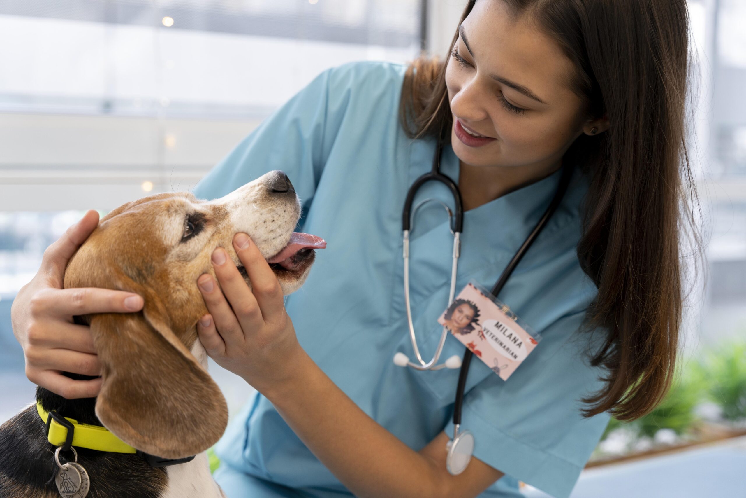 close-up-veterinarian-checking-dog (1)